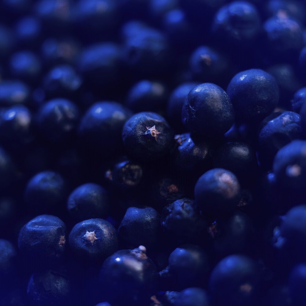 Y淡香精 沉醉版