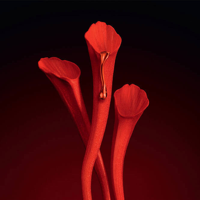 金緻奢華賦活精華液